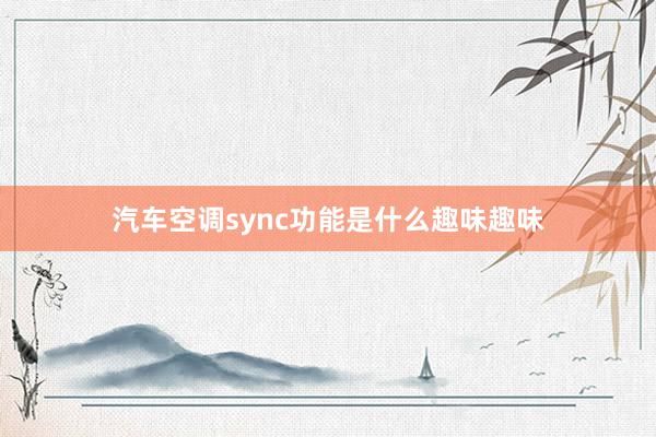 汽车空调sync功能是什么趣味趣味